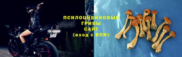 синтетический гашиш Беломорск