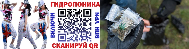 это Telegram Жердевка Канабис сатива